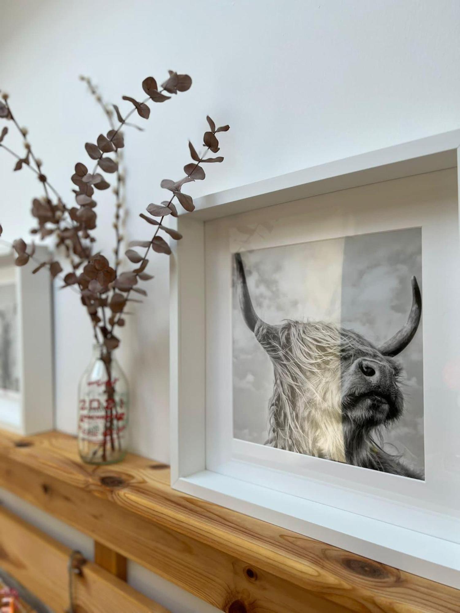 The Trossachs Collection Villa Balfron Rum bild